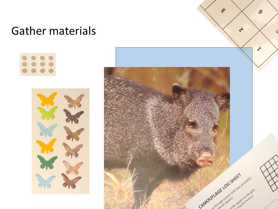 742-Tabletop_Camouflage_Slide1