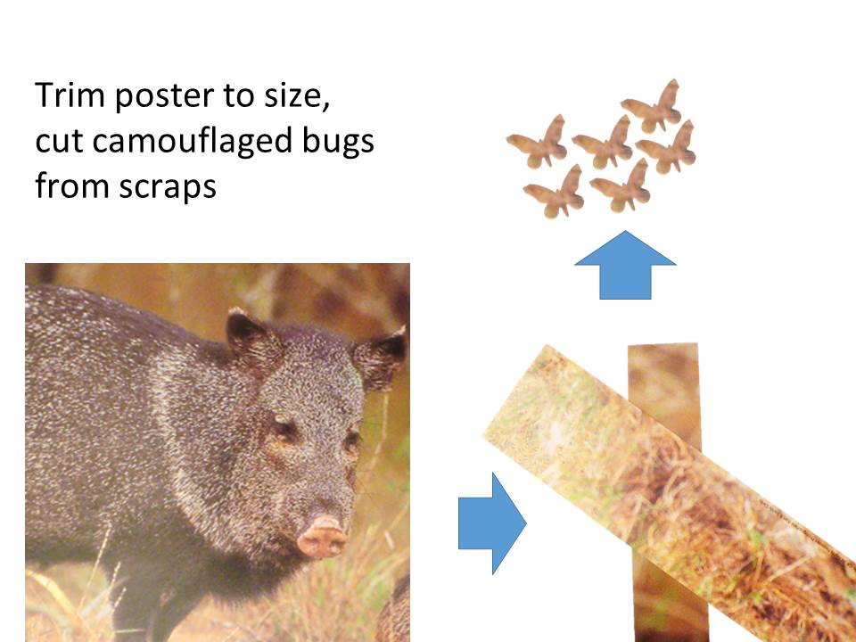 742-Tabletop_Camouflage_Slide2