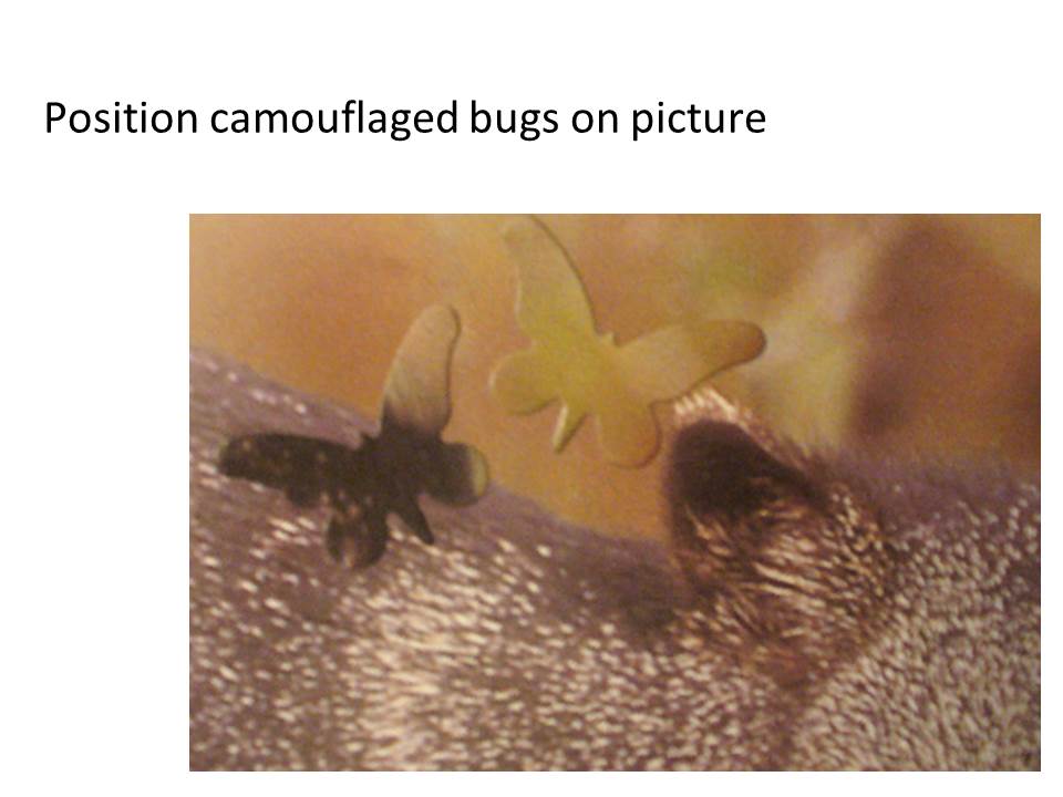 742-Tabletop_Camouflage_Slide4