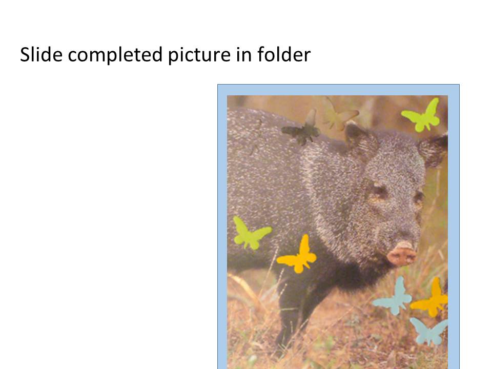 742-Tabletop_Camouflage_Slide6