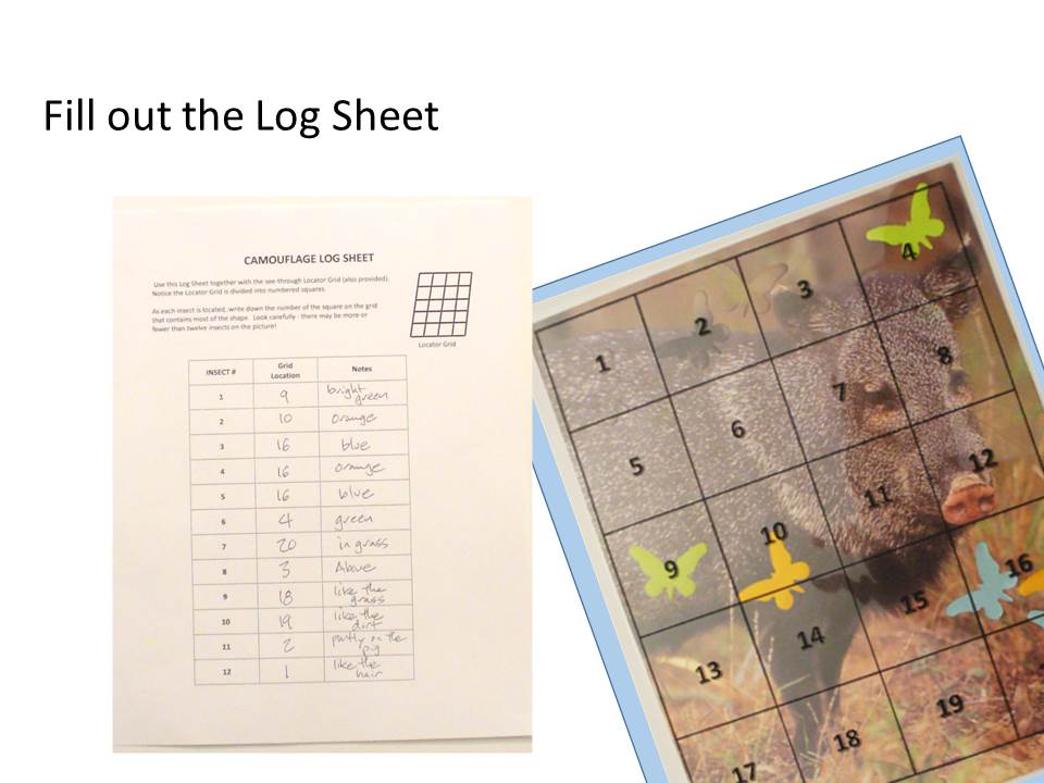 742-Tabletop_Camouflage_Slide8