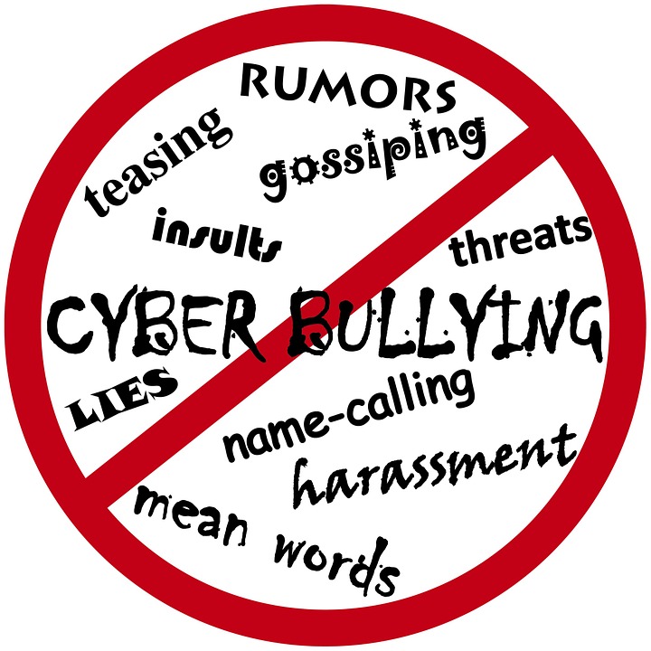 Image result for wikipedia cyberbullying