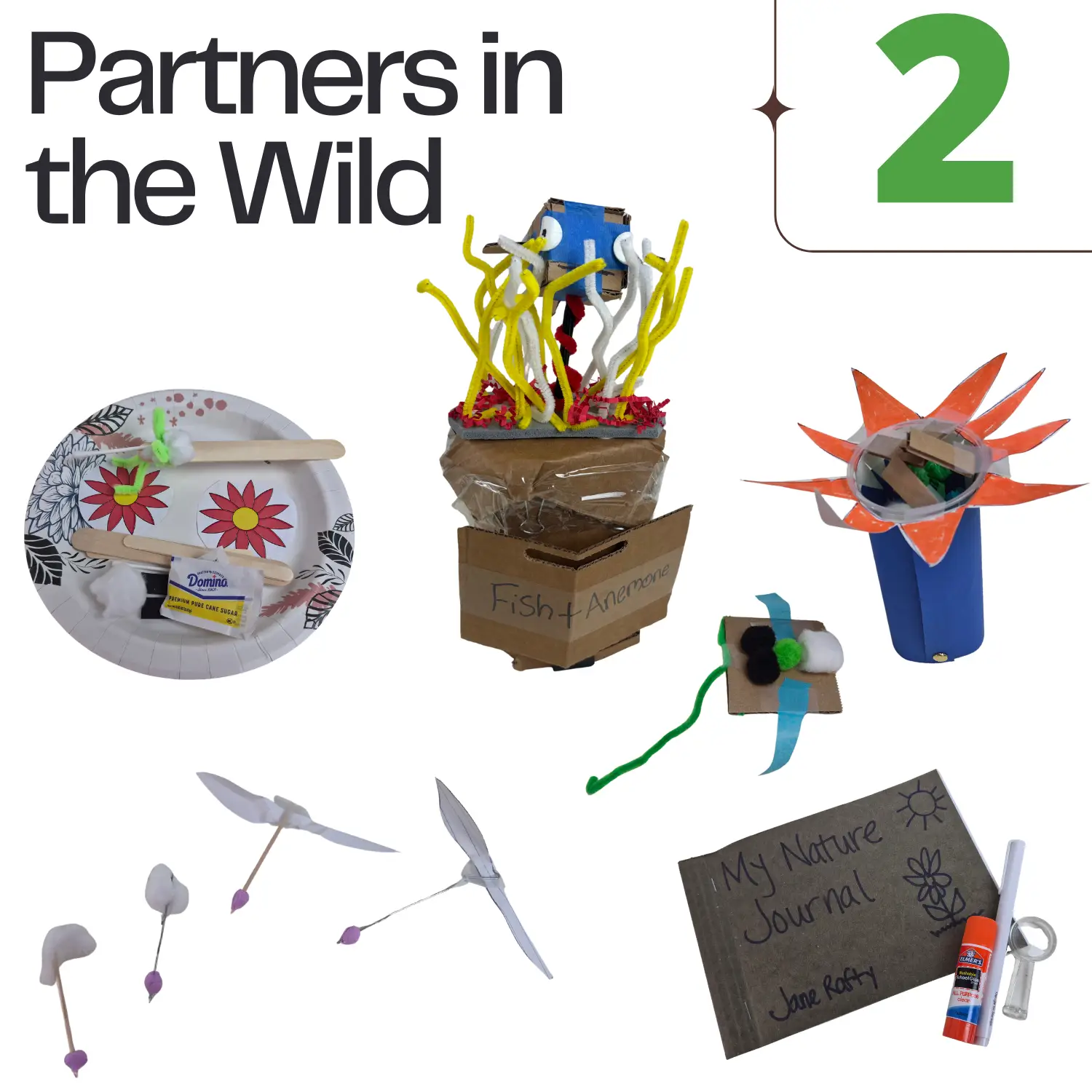 Partners in the Wild - Grade 2 theme