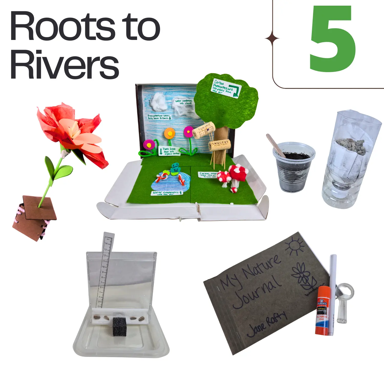 From Roots to Rivers - Grade 5 theme