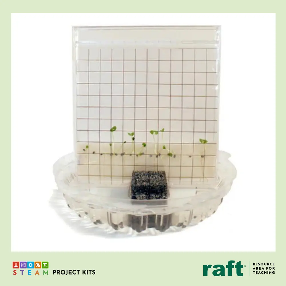 RAFT Germinator STEAM kit, seeds sprouting behind a gridded window